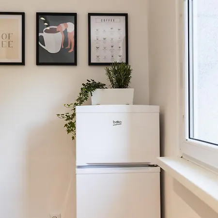 Appartement Moderni S Primym Vstupem Do Parku V Centru Ostravy Ostrava
