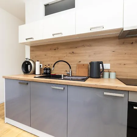 Moderni S Primym Vstupem Do Parku V Centru Ostravy Apartament *