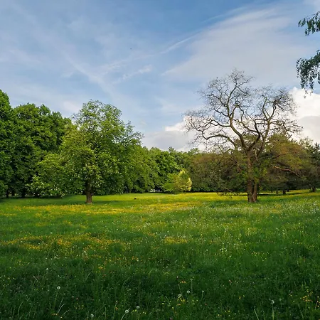 Moderni S Primym Vstupem Do Parku V Centru Ostravy Lägenhet Ostrava