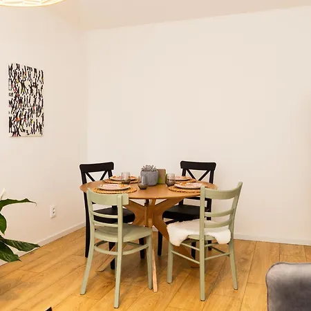 Apartament Moderni S Primym Vstupem Do Parku V Centru Ostravy *